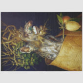 De winter, Arcimboldo Tissuepapier (Voorkant)