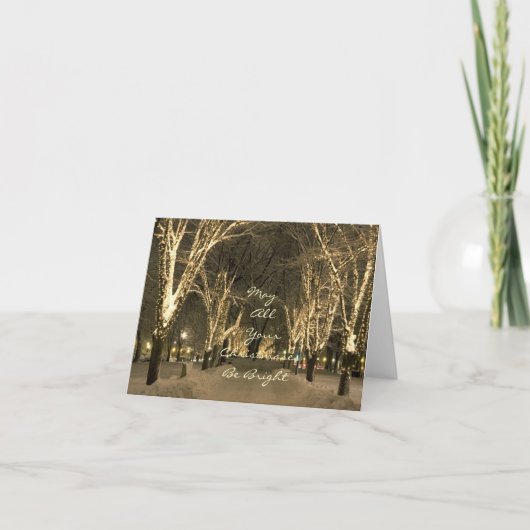 De winter in Boston - de Scène van het Park Feestdagen Kaart (Voorkant)