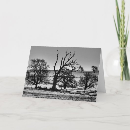 De winter in Northumberland Wenskaart Kaart (Voorkant)