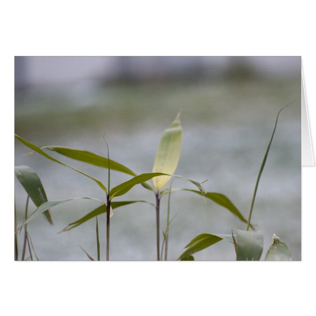 De winter komt eraan (Voorkant Horizontaal)