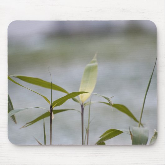 De winter komt eraan muismat (Voorkant)