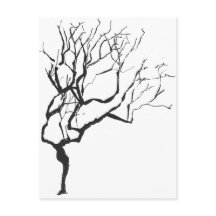 De winter komt met een minimalistische winterstruc