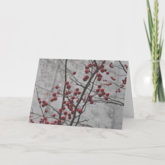 De Winter NYC Kaart (Voorkant)