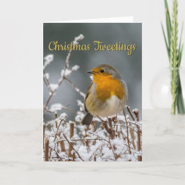 De winter Robin White Christmas Feestdagen Kaart