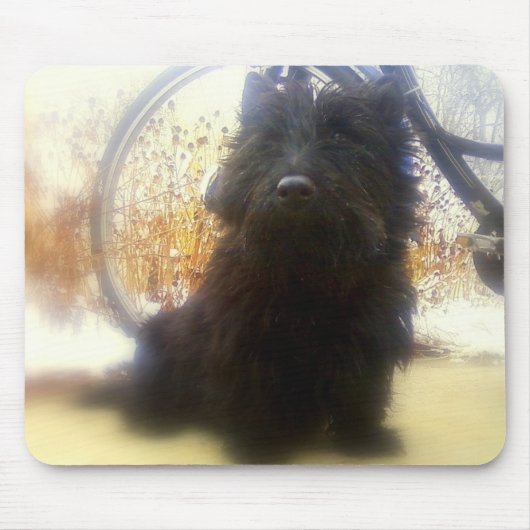 De winter Schots Terrier Muismat (Voorkant)