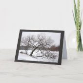 De Winter van dame Willow's Kaart (Voorkant)