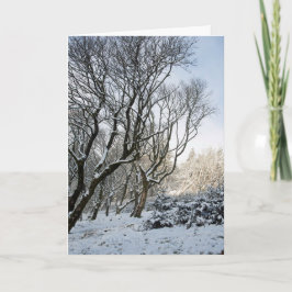 De winter van het Macclesfield Kaart