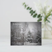 "De winter van het seizoen in de Beer Briefkaart (Staand voorkant)