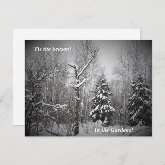 "De winter van het seizoen in de Beer Briefkaart (Voorkant / Achterkant)