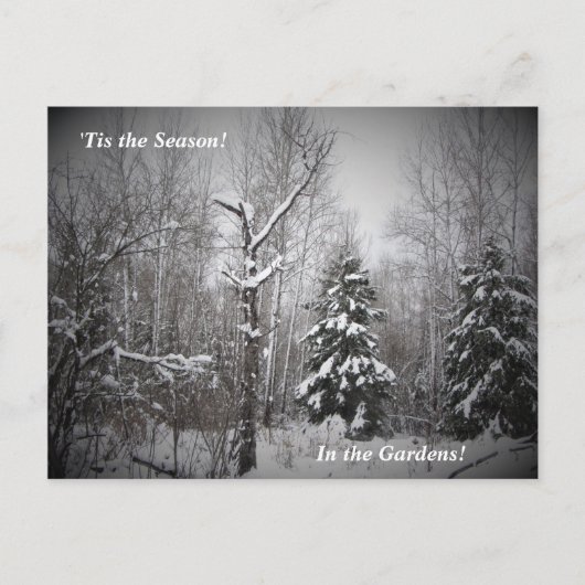 "De winter van het seizoen in de Beer Briefkaart (Voorkant)