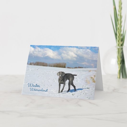 De winter Weimarland Feestdagen Kaart (Voorkant)