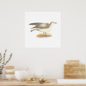De wintermeeuw (Larus argentatus) Poster (Keuken)