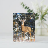 "De winterprins"  Briefkaart (Staand voorkant)