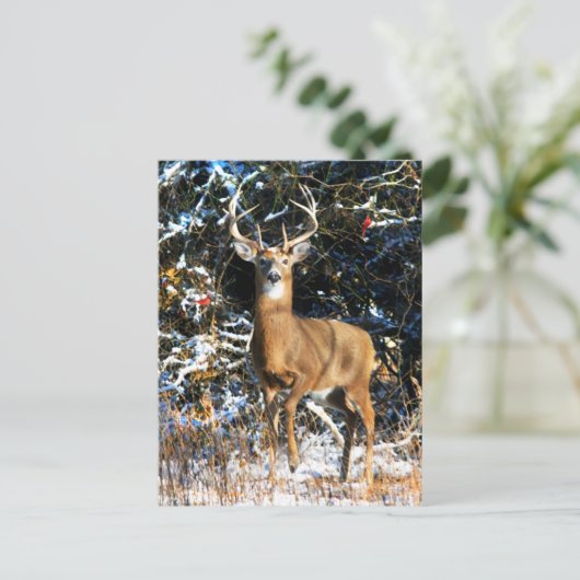 "De winterprins" Briefkaart (Staand voorkant)