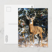 "De winterprins"  Briefkaart (Voorkant / Achterkant)