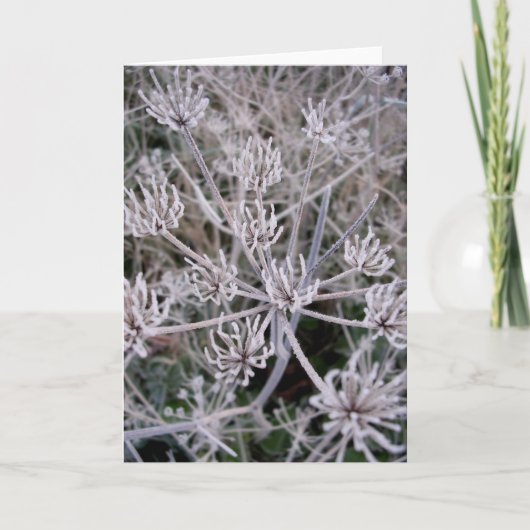 de winters klauwen kaart (Voorkant)