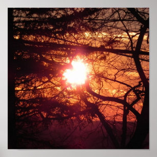De Winterzon Poster