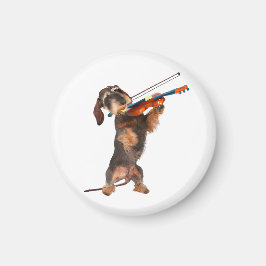 De Wirehaered Dachshund die een Violin speelt Magneet