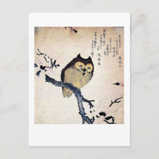 De Wise Old Owl Briefkaart