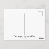 De Wish Post Card Briefkaart (Achterkant)