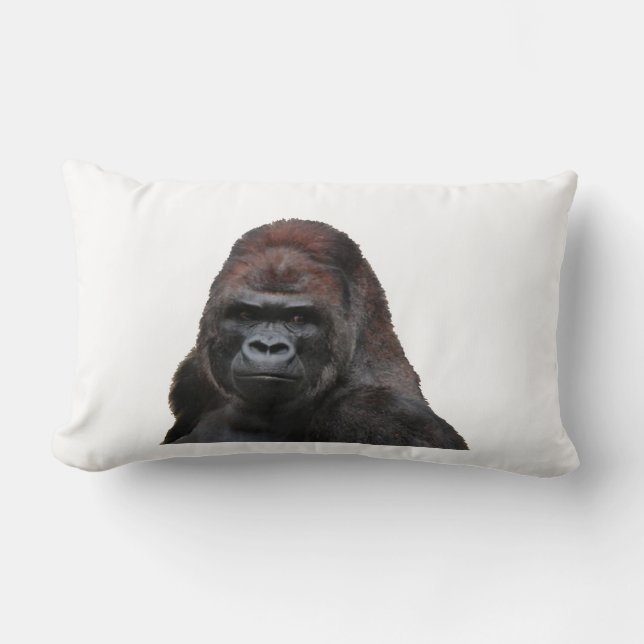 DE WISSEN KUSSEN (Voorkant)