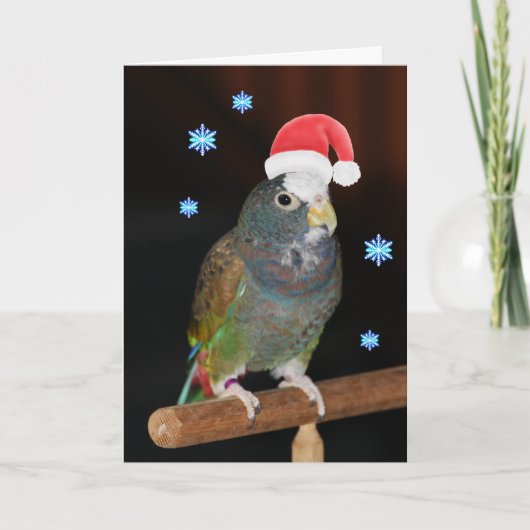 De wit-afgedekte Groeten van de Kerstman Pionus Feestdagen Kaart (Voorkant)