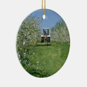 de witte appelboomgaard Nova Scotia flowe Keramisch Ornament (Rechts)
