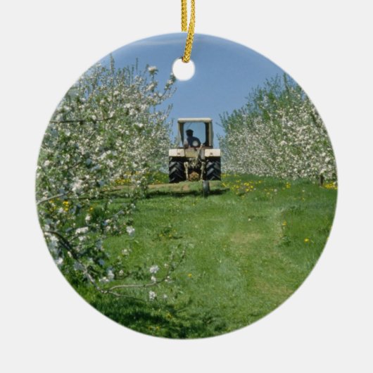 de witte appelboomgaard Nova Scotia flowe Keramisch Ornament (Voorkant)