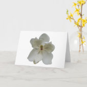De witte bloem van de Magnolia op lege notakaart Kaart (Gele Bloem)