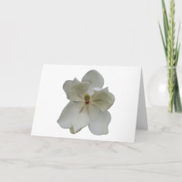 De witte bloem van de Magnolia op lege notakaart Kaart