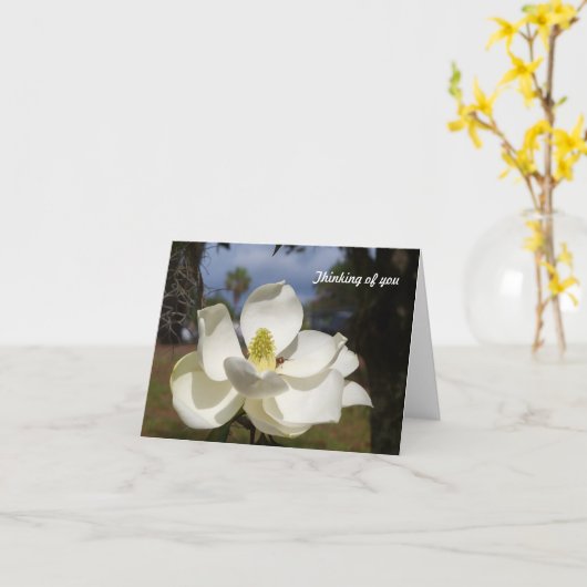 De witte bloem van de Magnolia zegt het Denken aan Kaart (Gele Bloem)