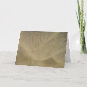 De Witte Bloem van Wispy Kaart