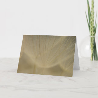 De Witte Bloem van Wispy Kaart