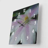 De witte Bloemblaadjes van de Bloem van Vierkante Klok (Hoek)