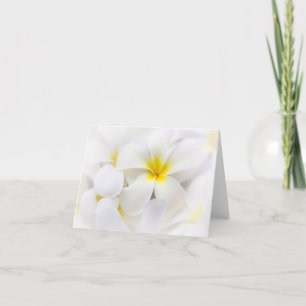 De witte BloemenBloemen van Frangipani van de Kaart