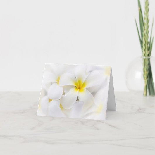 De witte BloemenBloemen van Frangipani van de Kaart (Voorkant)