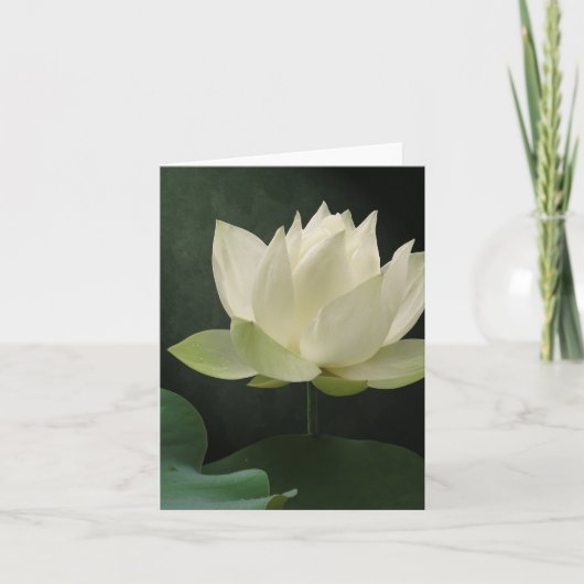 De witte Bloesem BloemenNotecard van Lotus Kaart (Voorkant)