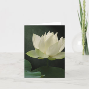 De witte Bloesem BloemenNotecard van Lotus Kaart