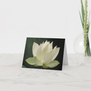 De witte Bloesem BloemenNotecard van Lotus Kaart
