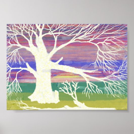 de witte boom poster (Voorkant)