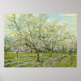 De witte boomgaard door Vincent Van Gogh Poster