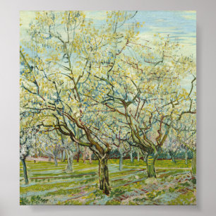 De witte boomgaard door Vincent Van Gogh Poster