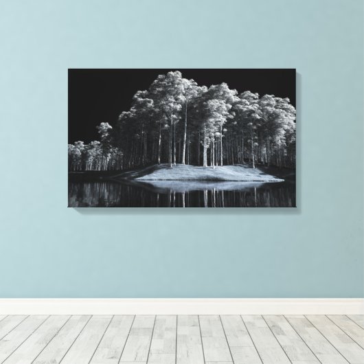 De witte Bossen (nacht) Canvas Print (Insitu (Houten vloer))