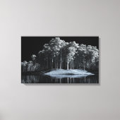 De witte Bossen (nacht) Canvas Print (Voorkant)