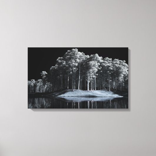 De witte Bossen (nacht) Canvas Print (Voorkant)