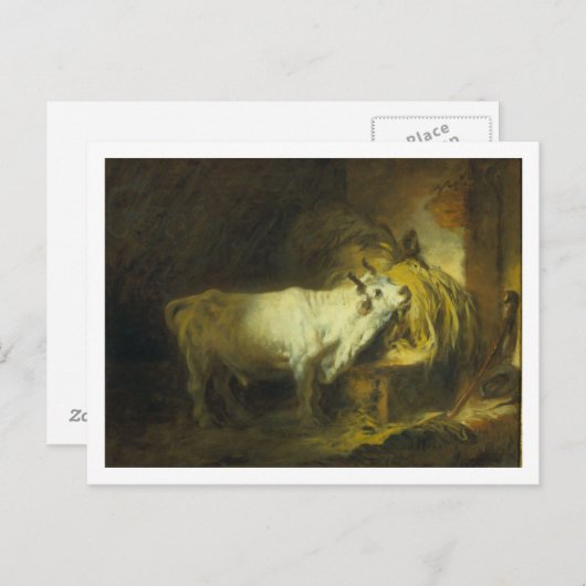 De Witte Bull in de Stable (olie op canvas) Briefkaart (Voorkant / Achterkant)