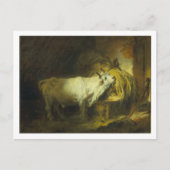 De Witte Bull in de Stable (olie op canvas) Briefkaart (Voorkant)