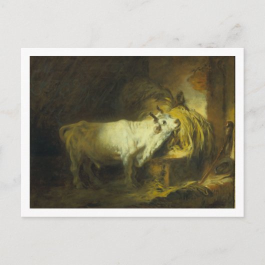 De Witte Bull in de Stable (olie op canvas) Briefkaart (Voorkant)