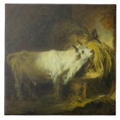 De Witte Bull in de Stable (olie op canvas) Tegeltje (Voorkant)