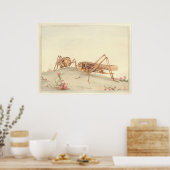 DE WITTE DECTICUS INsect Book Illustration Poster (Keuken)